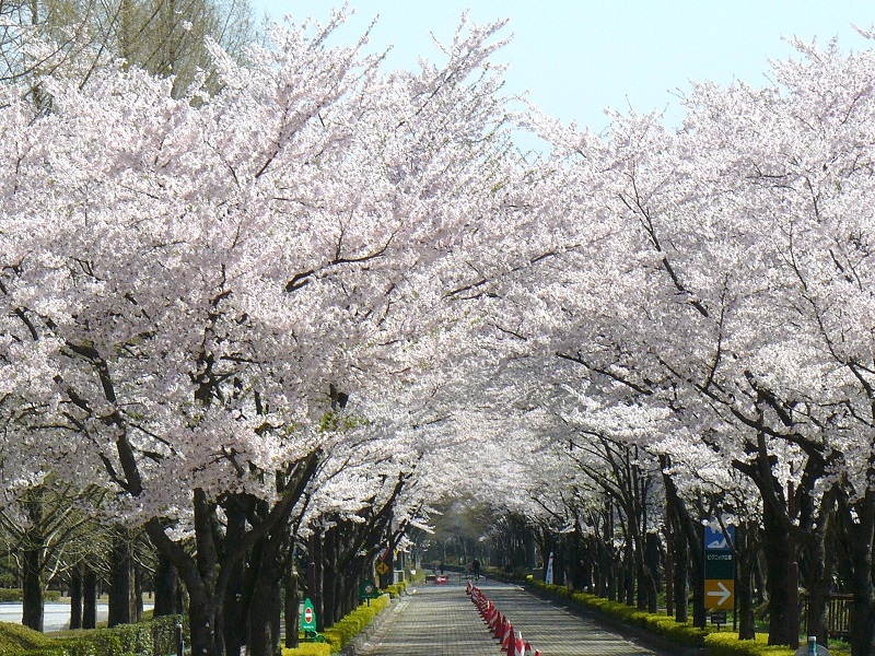 Azuma Sports Park