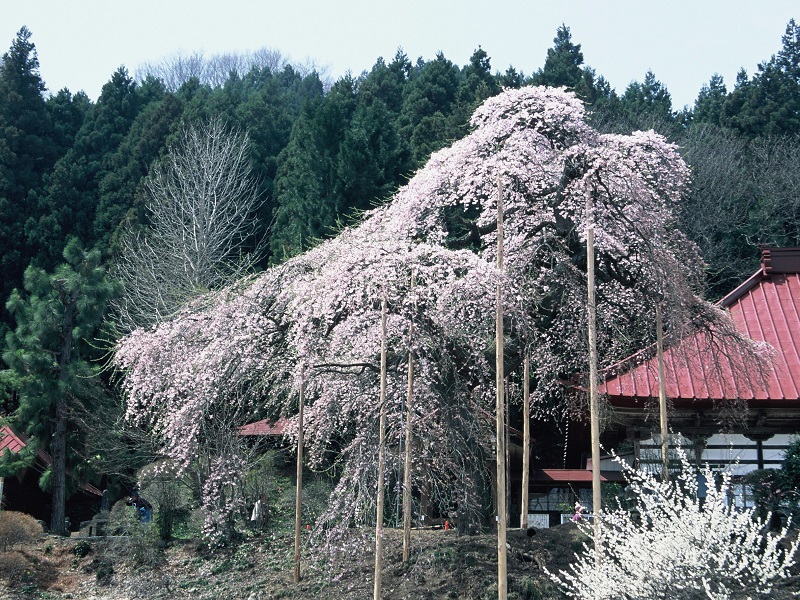 Jitokuji Temple