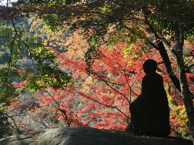 Kuroiwa Kokuzoson