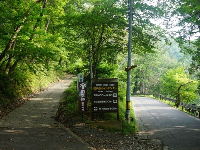 Two paths to Haguro Shrine