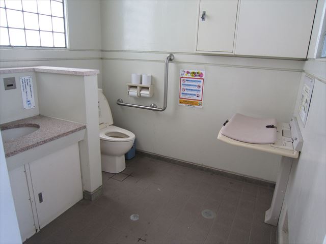 Wheelchair Accessible Toilet