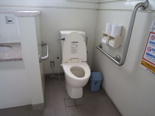 Wheelchair Accessible Toilet