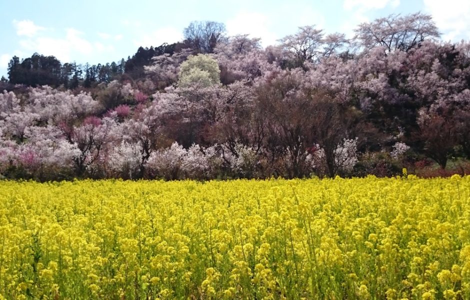 Hanamiyama