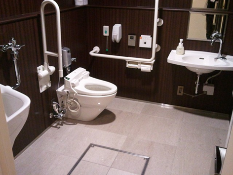 Wheelchair Accessible Toilet 