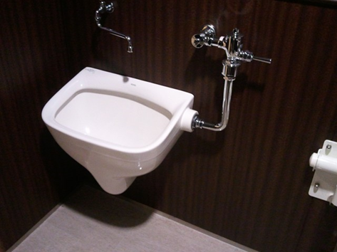 Wheelchair Accessible Toilet 
