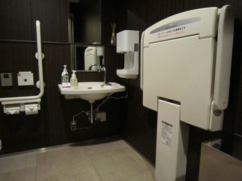 Wheelchair Accessible Toilet