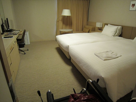 Room Type 2