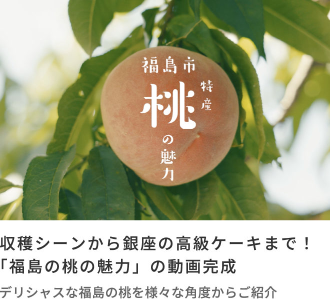 収穫シーンから銀座の高級ケーキまで！「福島の桃の魅力」の動画完成 デリシャスな福島の桃を様々な角度からご紹介