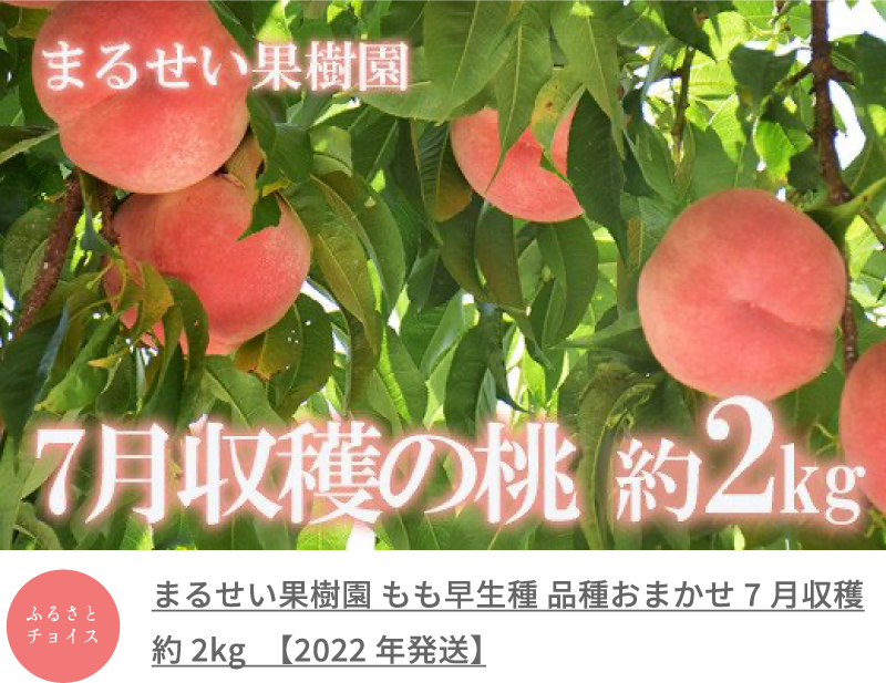 まるせい果樹園 もも早生種 品種おまかせ 7月収穫 約2kg　【2022年発送】