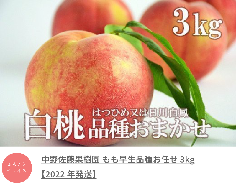 中野佐藤果樹園 もも早生品種お任せ 3kg 【2022年発送】