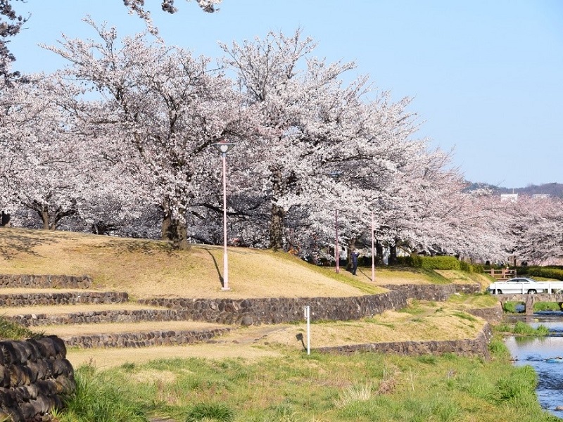 荒川桜づつみ河川公園