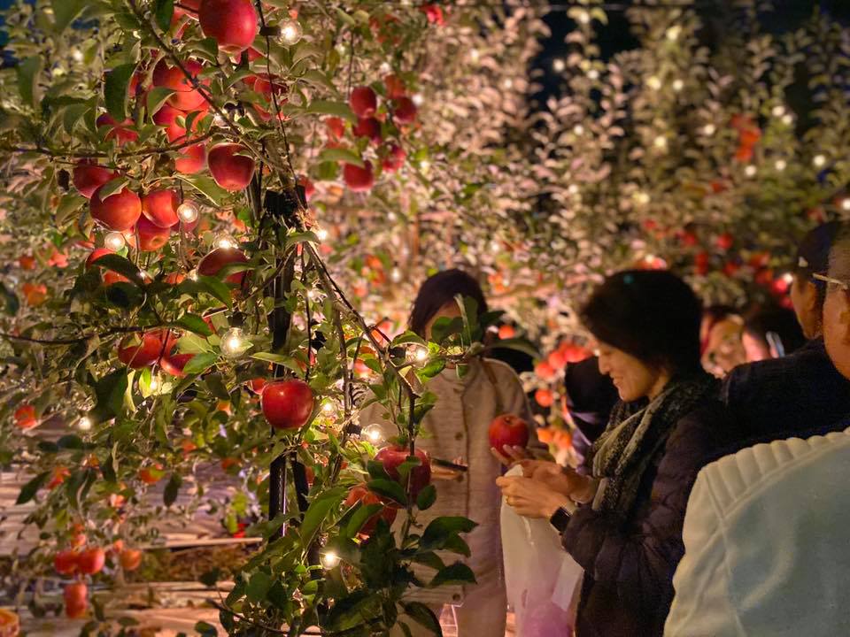 夜の果樹園