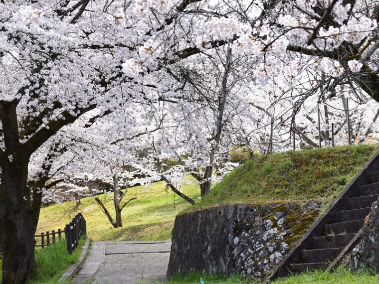 大森城山公園