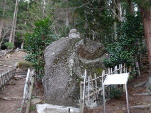 慈徳寺の種まき桜