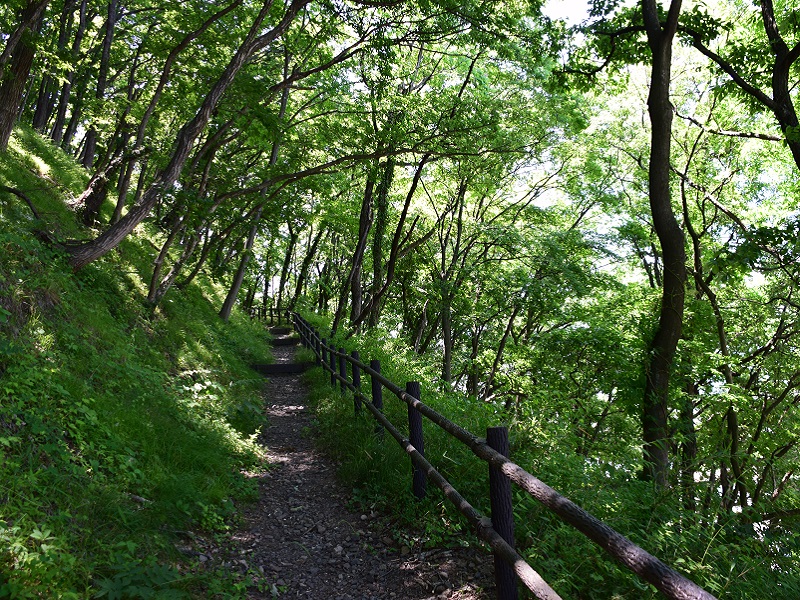 弁天山公園