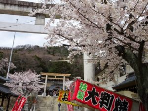 HP信夫山公園