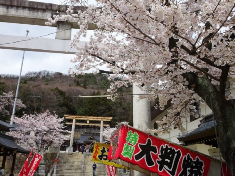 2023 信夫山公園桜まつり