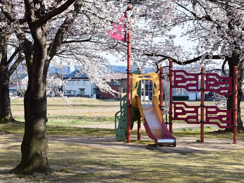 荒川桜づつみ河川公園