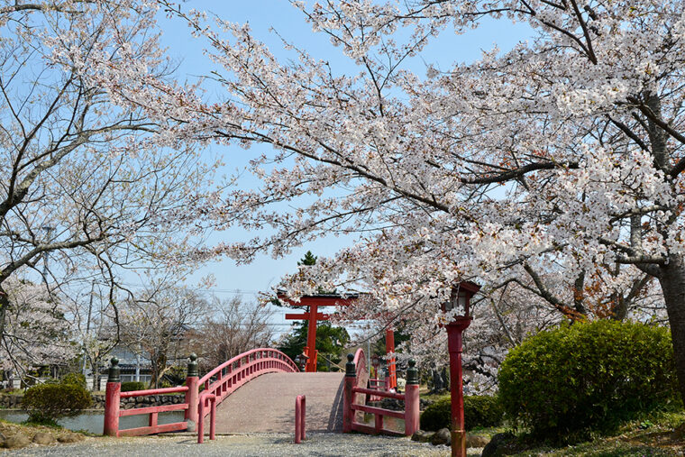 涼ヶ岡八幡神社