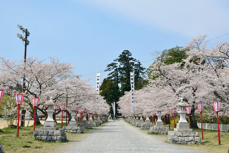 桜まつり