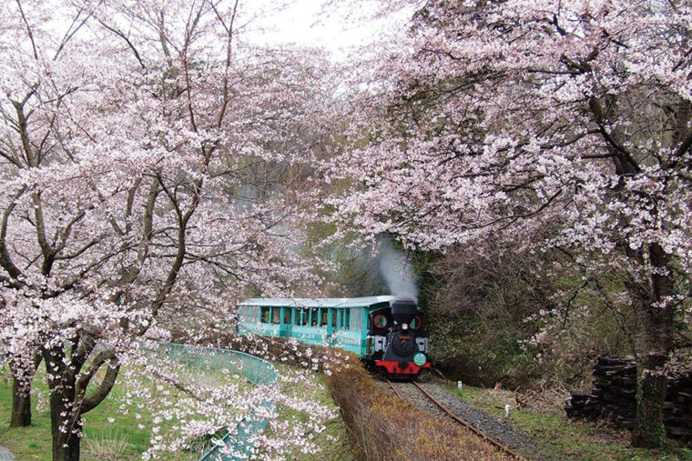 やながわ希望の森公園