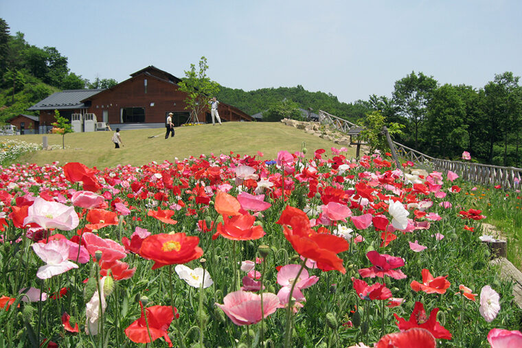 つきだて花工房