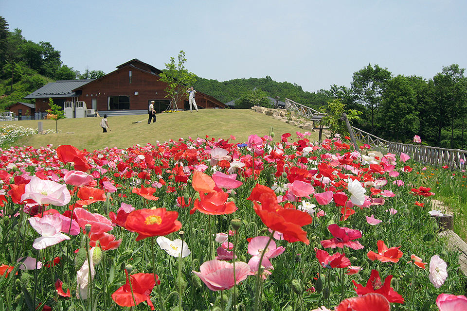 つきだて花工房