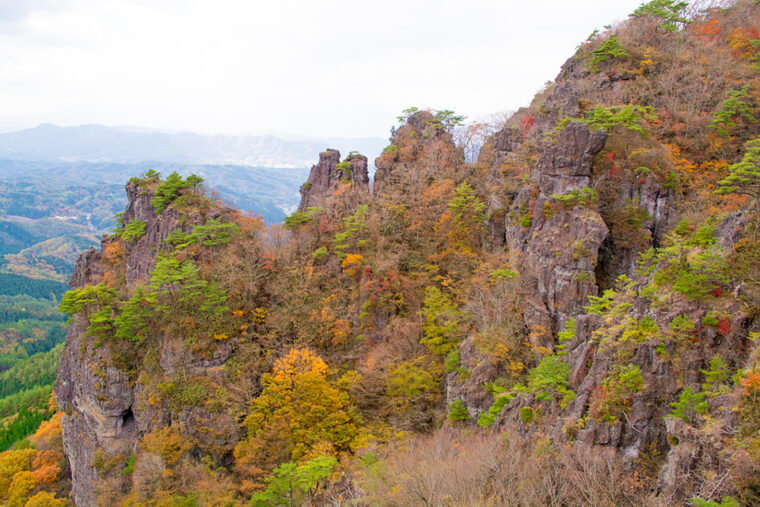 霊山紅葉まつり