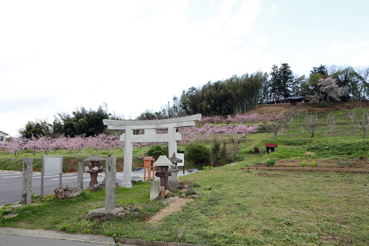 高子二十境巡り