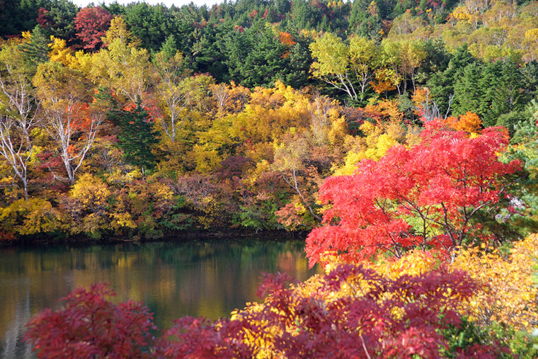 土湯の森紅葉ハイキング