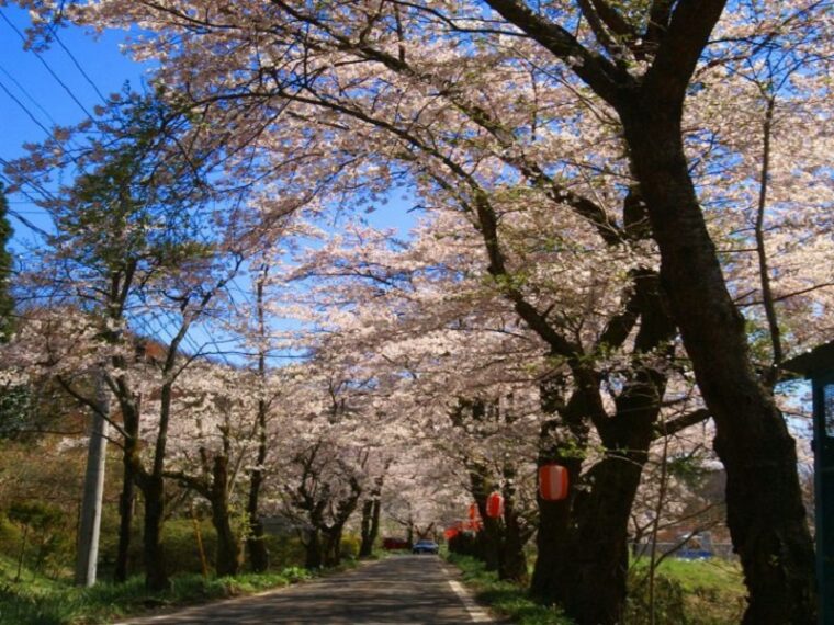 飯野堰堤公園