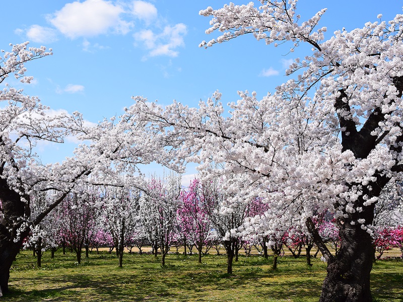 乙和公園