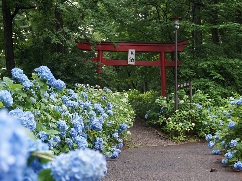 土合舘公園(どあいだてこうえん)