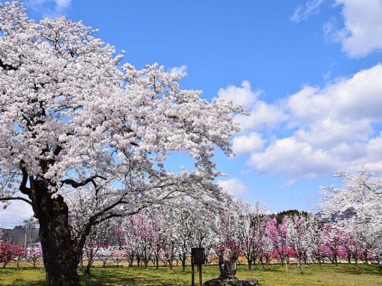 乙和公園