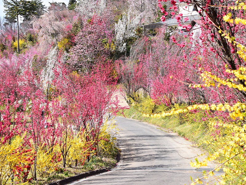 花やしき公園