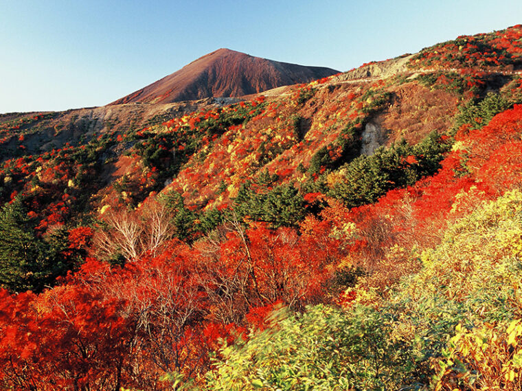 スカイライン（天狗の庭）