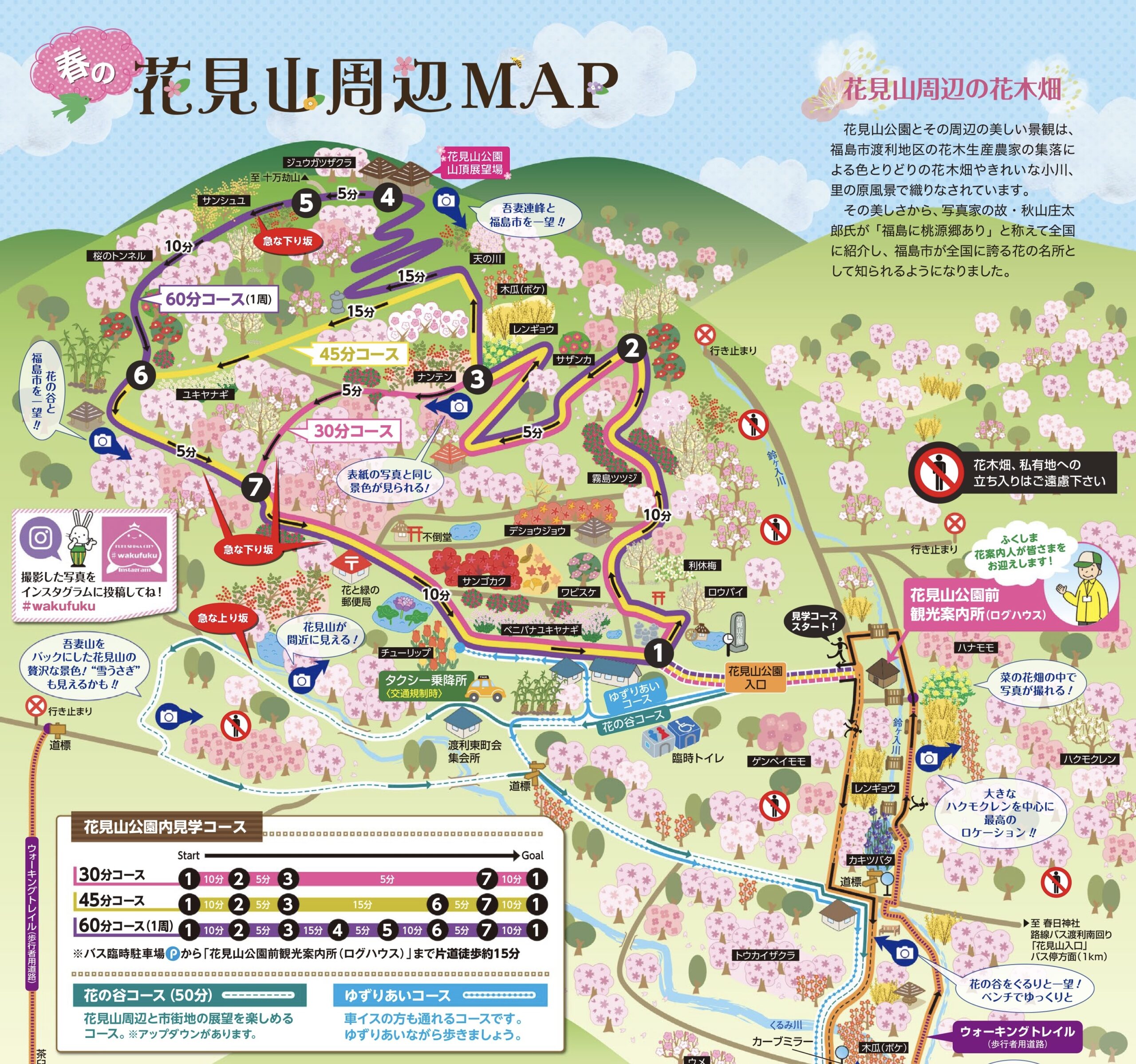 東北屈指のお花見スポット 花見山 をハイキングしてみよう 福島市観光ノート 福島市の観光webメディア