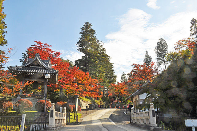 文知摺観音　御朱印　紅葉　モミジ