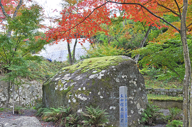 文知摺観音　御朱印　紅葉　モミジ