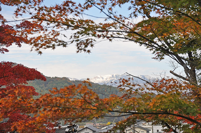  文知摺観音　御朱印　紅葉　モミジ