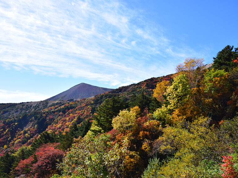 スカイラインの紅葉２