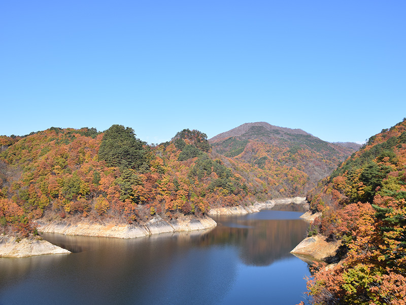 摺上川ダム「茂庭っ湖(モニワッコ)」の紅葉７
