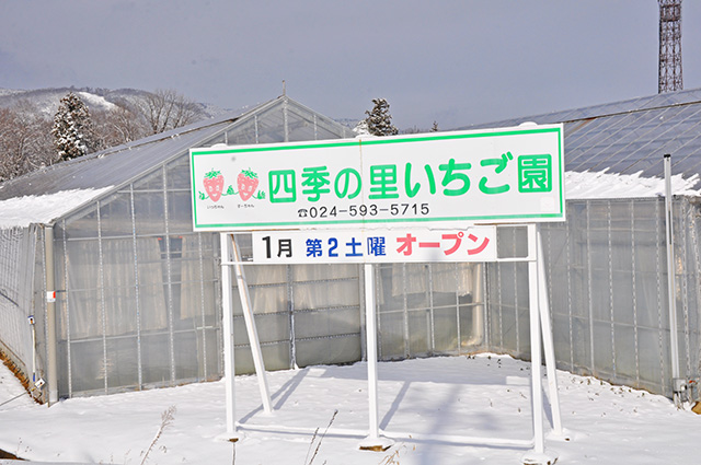 いちご　いちご狩り　福島市　四季の里