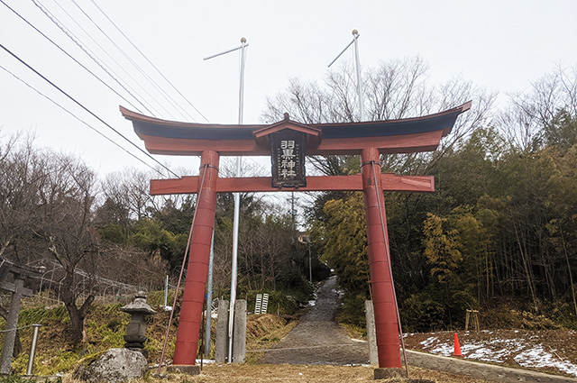 羽黒神社　暁まいり　大わらじ　信夫山