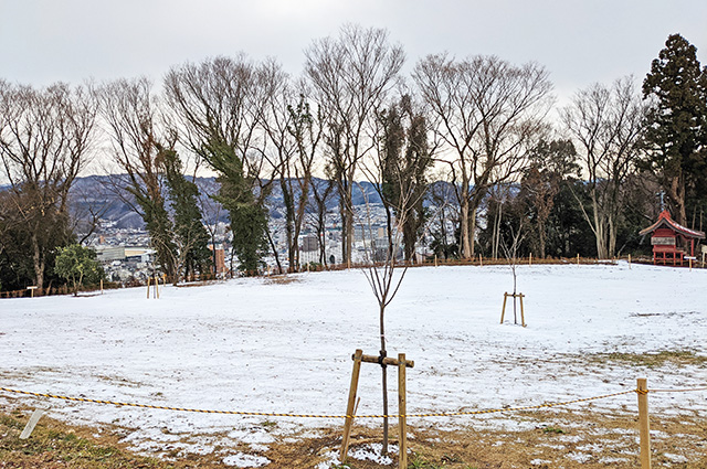 羽黒神社　暁まいり　大わらじ　信夫山