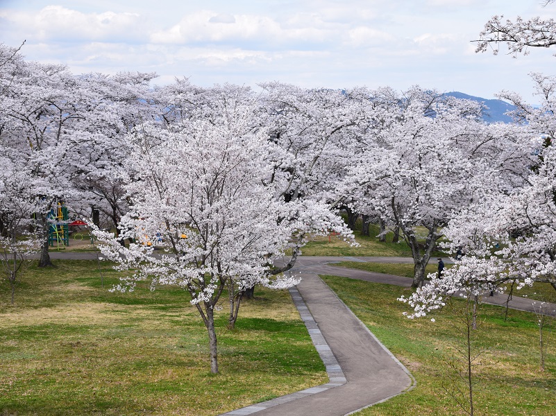 大森城山公園