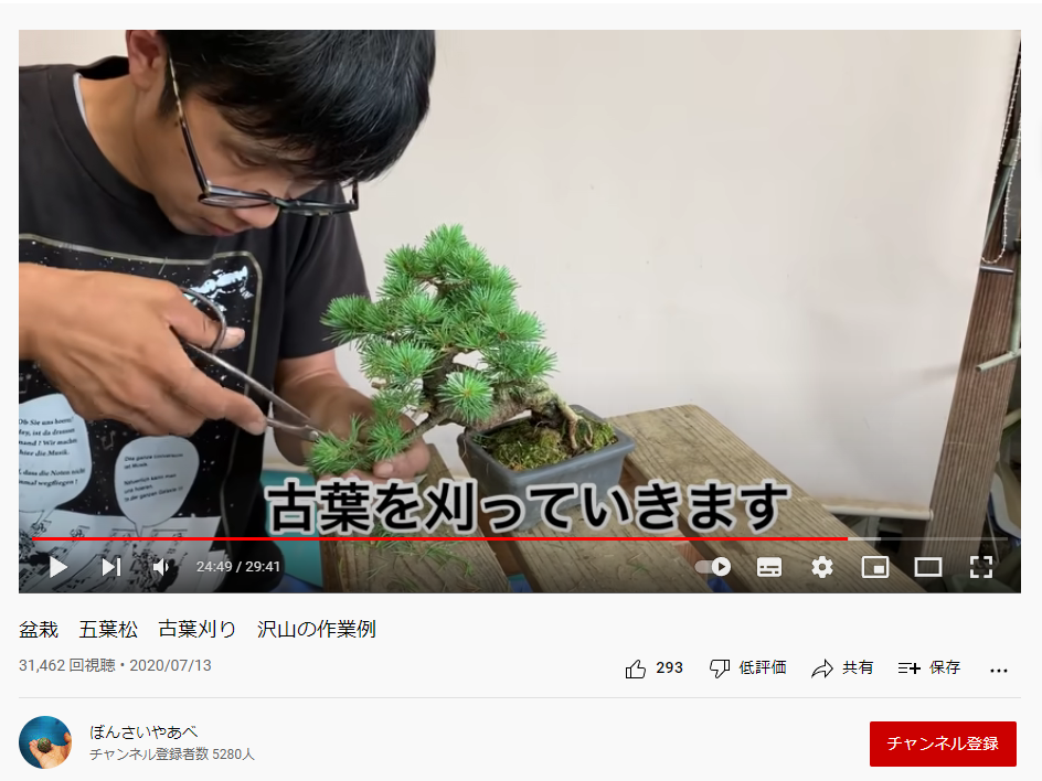 youtubeではたくさんの事例も紹介しています