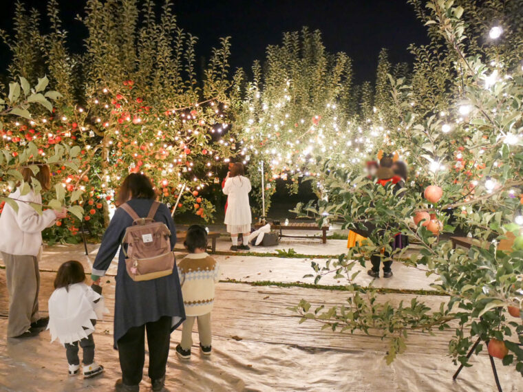 「夜の果樹園2022 ハロウィンナイト」初日（10/21）参加レポート