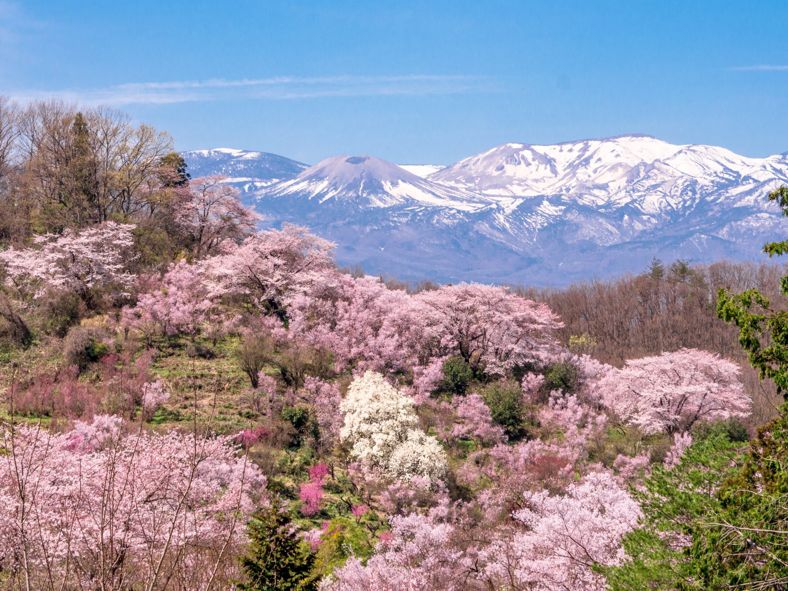福島市 