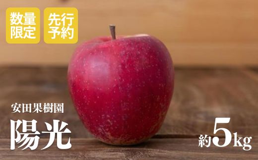 No.0842安田果樹園 りんご「陽光」約5kg【2023年度発送】